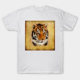 The Tiger Stare / Watercolour Art T-Shirt